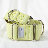 collier chien martingale jaune pastel
