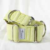 collier chien martingale jaune pastel
