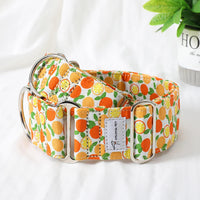 collier chien martingale motif agrumes
