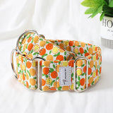 collier chien martingale motif agrumes
