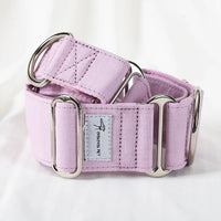 collier chien martingale uni violet lavande