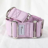 collier chien martingale uni violet lavande