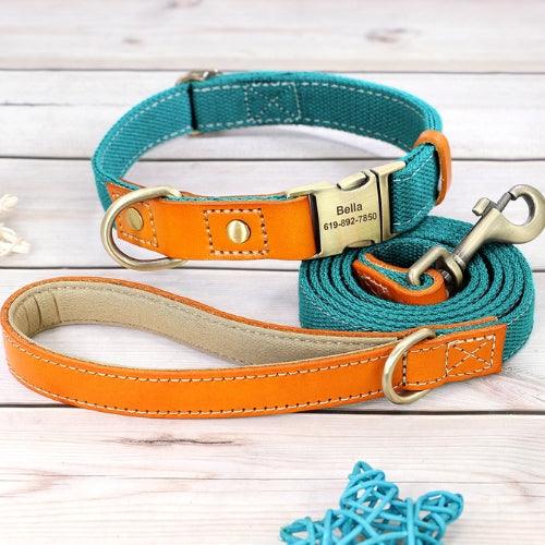 collier-chien-personnalise-avec-laisse