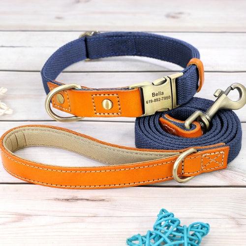 collier-chien-personnalisé-bleu-avec-laisse