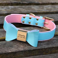 collier chien personnalisé bleu ciel