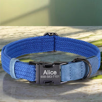 Collier-chien-personnalisé-bleu