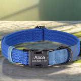 Collier-chien-personnalisé-bleu