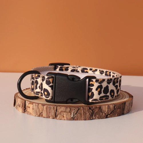 collier-chien-personnalise-chic