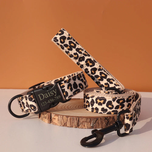 collier-chien-personnalisé-laisse-assortie