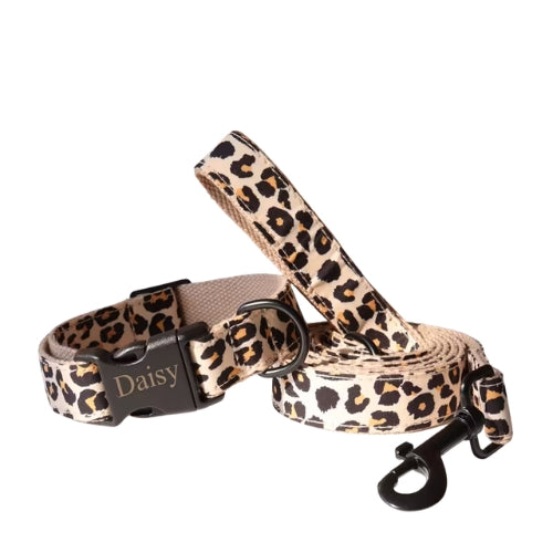 collier-chien-personnalise-laisse