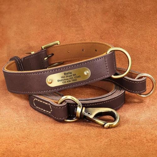 collier-chien-personnalise-marron