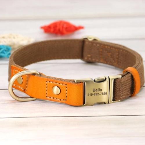 collier-chien-personnalisé-marron
