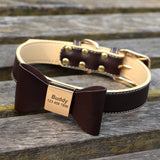 collier-chien-personnalisé-marron