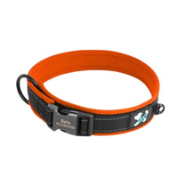 collier-chien-personnalise-rembourré