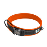 collier-chien-personnalise-rembourré