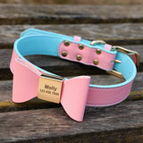  collier-chien-personnalisé-rose