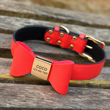  collier-chien-personnalisé-rouge