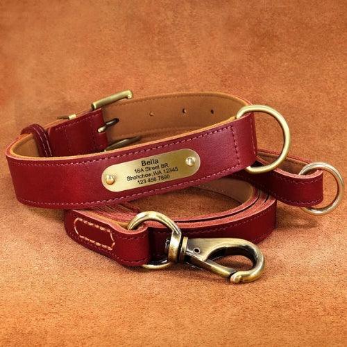 collier-chien-personnalise-terre-de-sienne