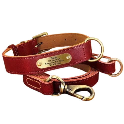 collier chien personnalise terre de sienne