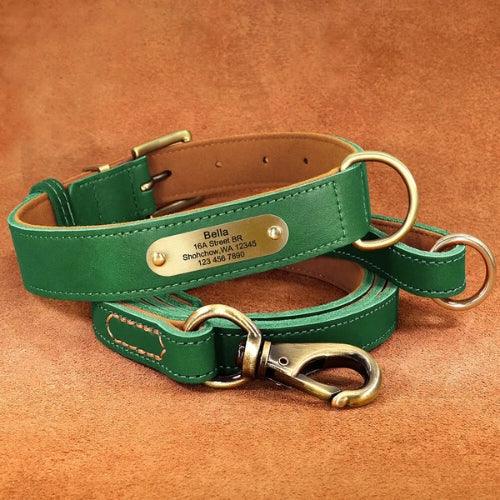 collier-chien-personnalise-vert