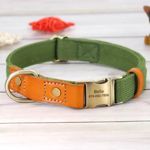 collier-chien-personnalisé-vert