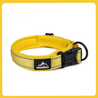 collier chien réfléchissant jaune vif sécurité nocturne