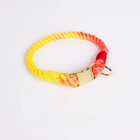 Collier corde pour chien jaune rouge avec boucle dorée 