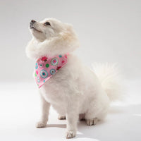 Collier petit chien avec bandana rose à fleurs porté par un petit chien blanc