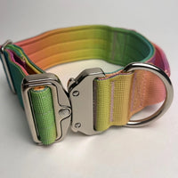 Collier pour chien avec poignée