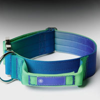 Collier pour chien avec poignée