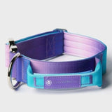 Collier pour chien avec poignée