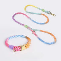 Collier pour chien en corde arc-en-ciel avec laisse