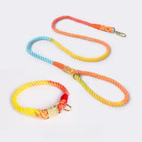 Collier pour chien en corde jaune et rouge avec laisse