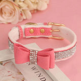 collier pour chien en strass melon
