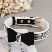 collier pour chien en strass noir