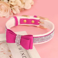 collier pour chien en strass rose