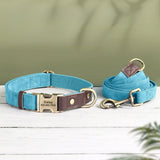 collier-pour-chien-personnalisable-cyan