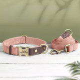 collier-pour-chien-personnalisable-rose