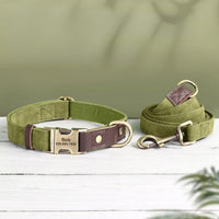 collier-pour-chien-personnalisable-vert