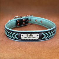 collier-pour-chien-personnalise-bleu