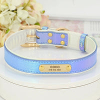 collier-pour-chien-personnalise-bleu