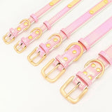 collier-pour-chien-personnalise-boucle-metallique