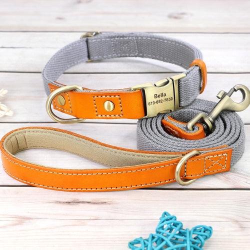 collier-personnalisé-chien-gris-avec-laisse