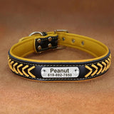 collier-pour-chien-personnalise-jaune