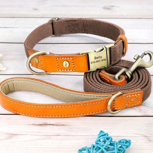 collier-chien-personnalise-marron-avec-laisse