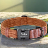 Collier-chien-personnalisé-marron