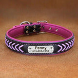 collier-pour-chien-personnalise-pourpre