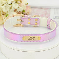 collier-pour-chien-personnalise-pourpre