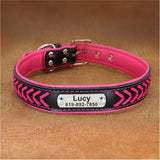 collier-pour-chien-personnalise-rose