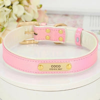 collier-pour-chien-personnalise-rose